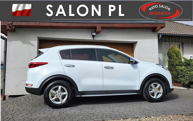 Kia Sportage cena 74900 przebieg: 107000, rok produkcji 2017 z Rydułtowy małe 211